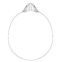 OCEAN Buoy R4 Lifebuoy 52x68 cm Red/Blue | 4Boats