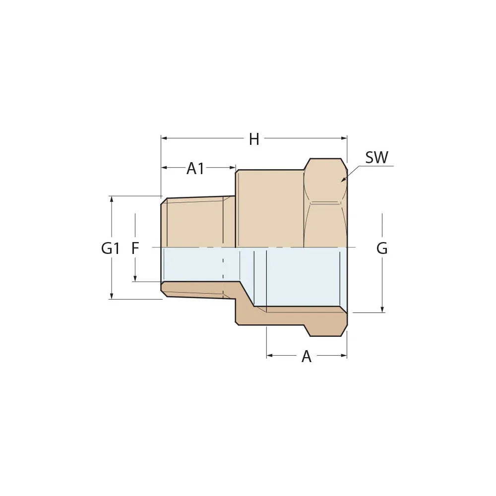 Guidi Bronze Reducing Nipple F-M 1/2 in x 3/8 in