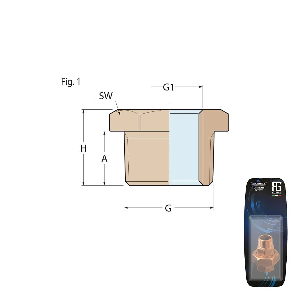Guidi Brass Bushing M-F 1 in 1/4 x 1/4 in