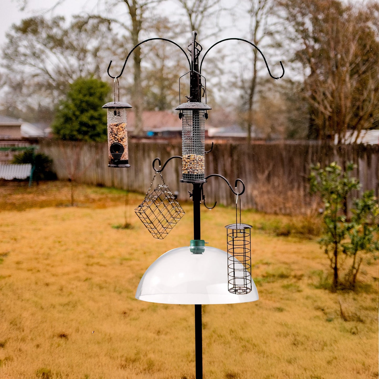 Squirrel Baffles Dome