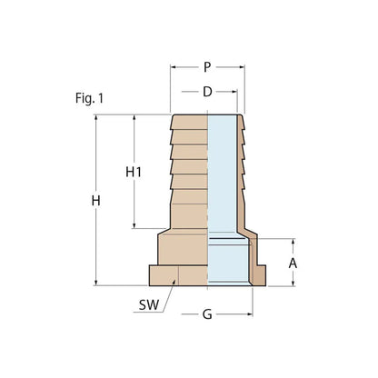 Guidi Bronze Hose Connector F 1 in 1/2 x 38 mm