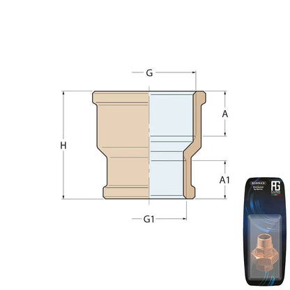 Guidi Bronze Reducing Socket F-F 1 in 1/4 x 1 in - Retail Pack