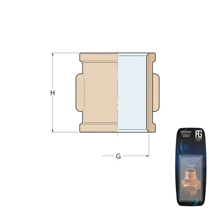 Guidi Brass Equal Socket F 1/8 in - Retail Pack