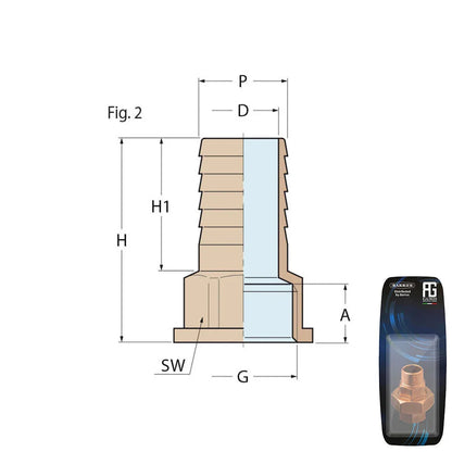 Guidi Bronze Hose Connector 3/4 in x 25 mm - Retail Pack