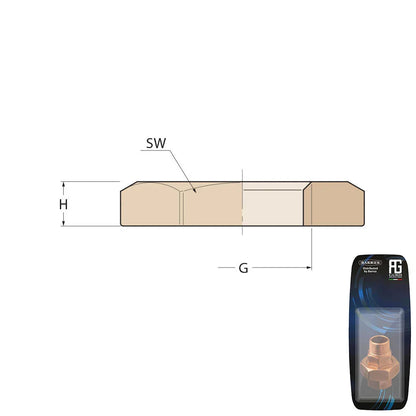 Guidi Brass HEX Nut Light Series 3/4 in - Retail Pack