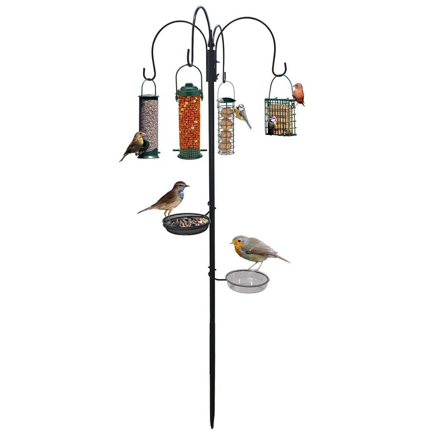 Bird Feeding Station With Water Bath