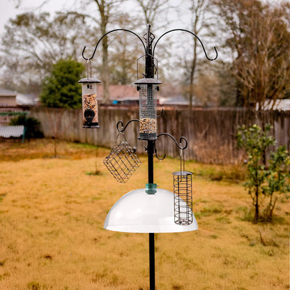 Squirrel Baffles Dome