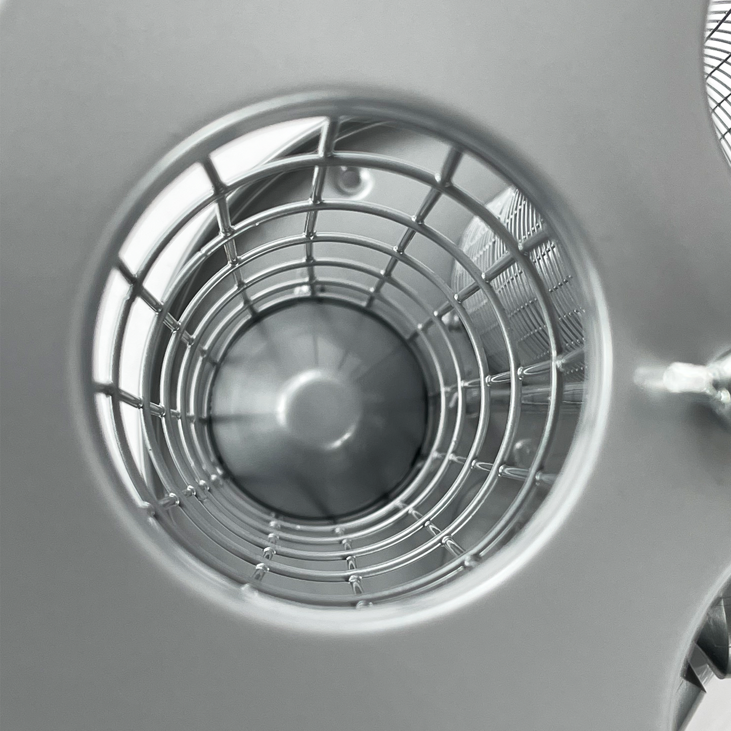 3 in 1 Bird Feeder - Seeds, Nuts & Fat Ball