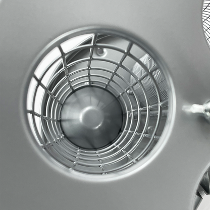 3 in 1 Bird Feeder - Seeds, Nuts & Fat Ball