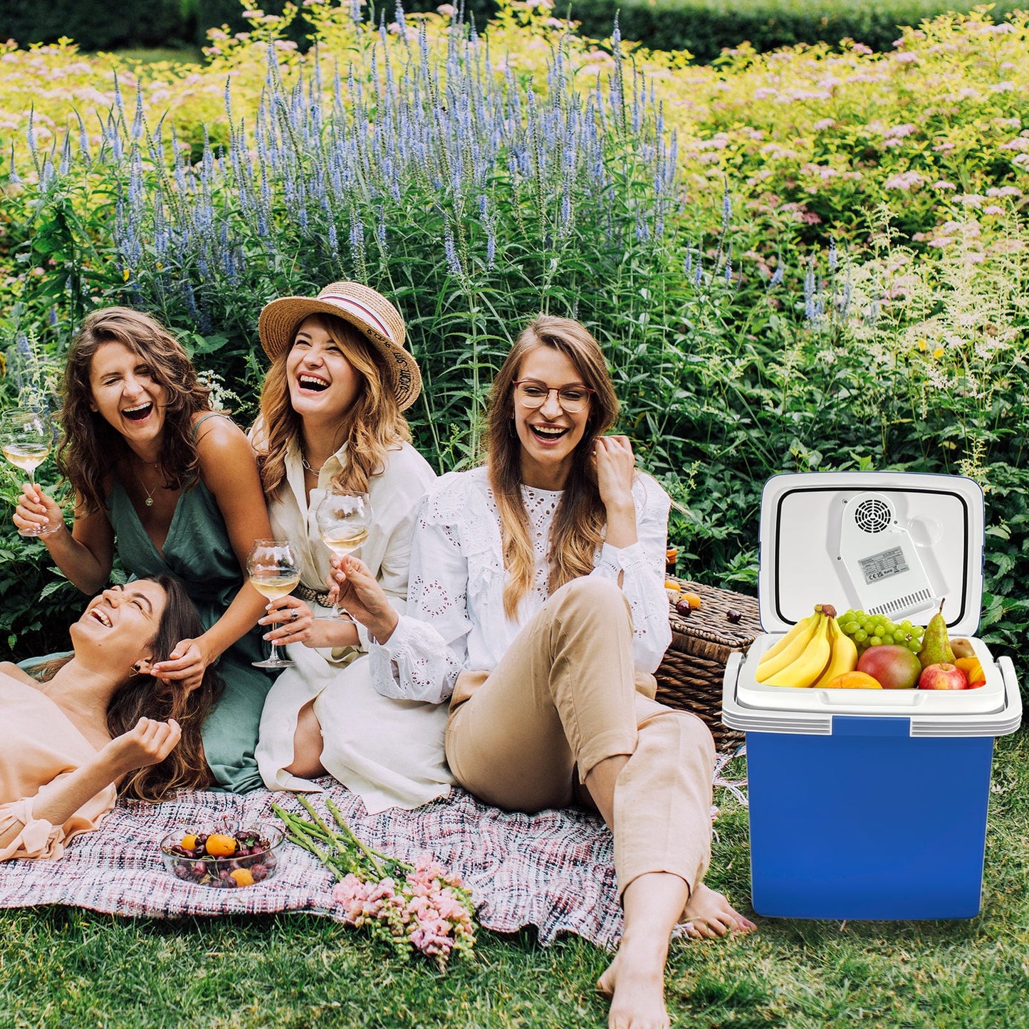 24/26 Thermoelectric Cooler and Warmer