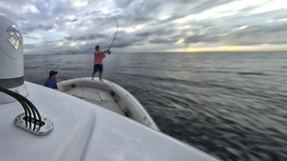 Low Profile Multi Stainless Steel