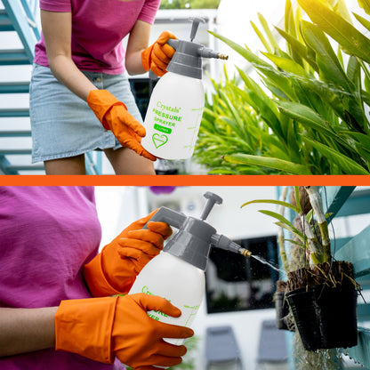 2 or 3 L Garden Hand Pump Pressure Sprayer