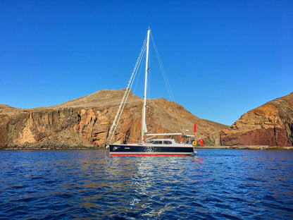 Scanstrut LMB | A1 LMB | A1 LMB | A1 self | levelling radar m | 4Boats