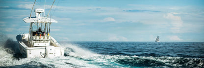 Scanstrut PT2001 PT2001 PT2001 Composite PowerTower 350mm (14 | 4Boats