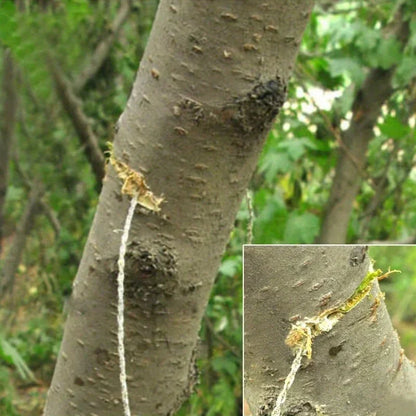 1pc Leather Cover Stainless Steel Wire Saw Wilderness Survival Outdoor Camping Hike Mini Hand Pulled Rope Saw Survival Equipment