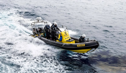 Scanstrut Stainless Stainless Stainless SPT1002 PowerTower 15 | 4Boats