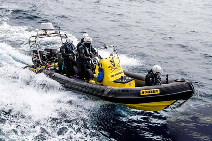 Scanstrut Stainless Stainless Stainless SPT1002 PowerTower 15 | 4Boats