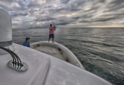 Low Profile Multi Stainless Steel