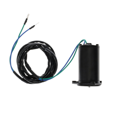 Tilt Trim Tilt/Trim Motor for OMC Evinrude & Johnson 1981–1992
