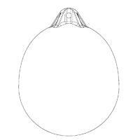 OCEAN Buoy R2 38×50cm Red/Blue | 4Boats