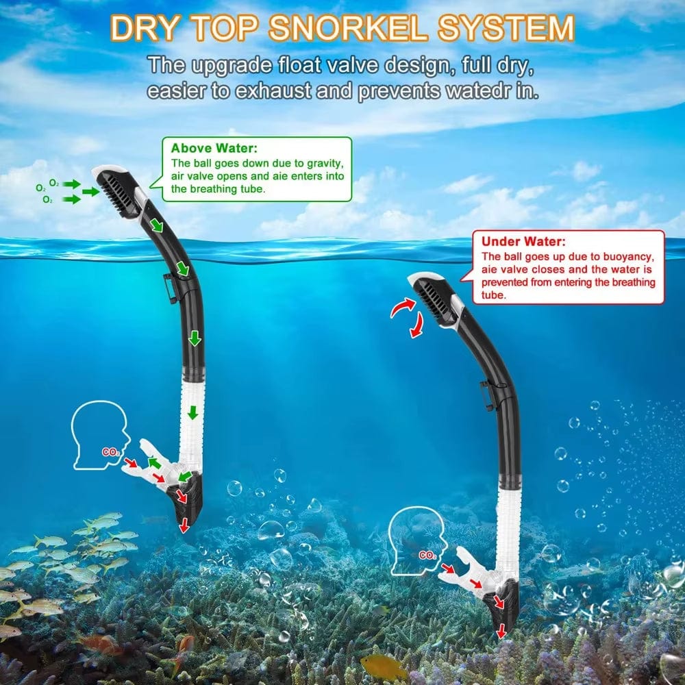 Snorkelling Set - Full Frame Mask & Dry Snorkel - Multiple Colour Options