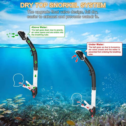Snorkelling Set - Full Frame Mask & Dry Snorkel - Multiple Colour Options